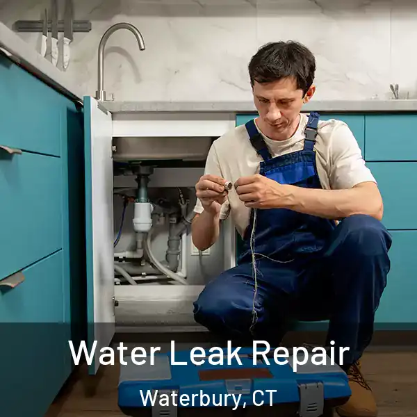  Water Leak Repair Waterbury, CT